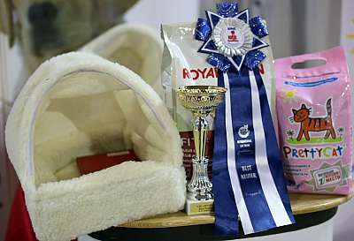 �������� ����� '���-�����-������' 22-23 ������ 2014 169A9464 copy.jpg